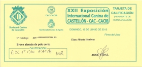 EXC 1ª CAC CACIB MR Castellón